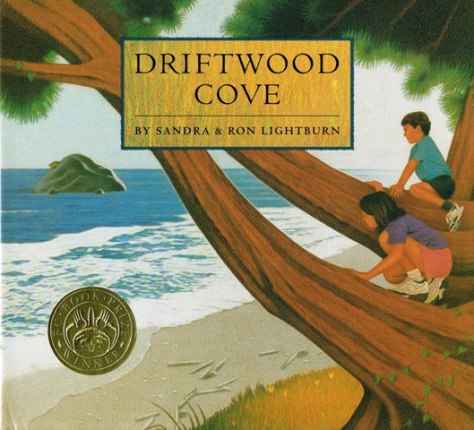 Driftwood Cove front cover