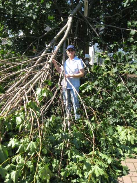 Our poor maple tree lost some branches from Hurricane Arthur.