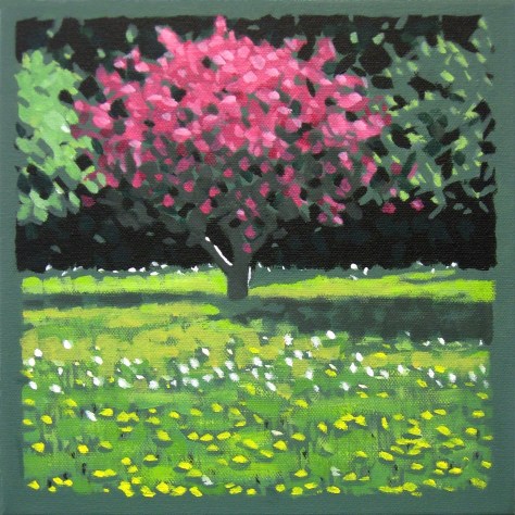 2016-06-02 Spring_Blossoms_Scotian_Gold_Park 001